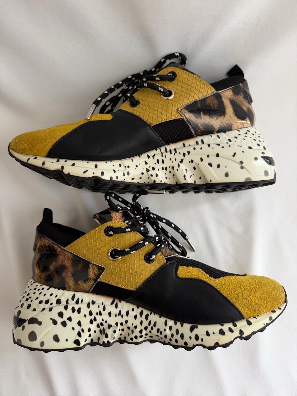 Steve Madden Cliff Sneakers